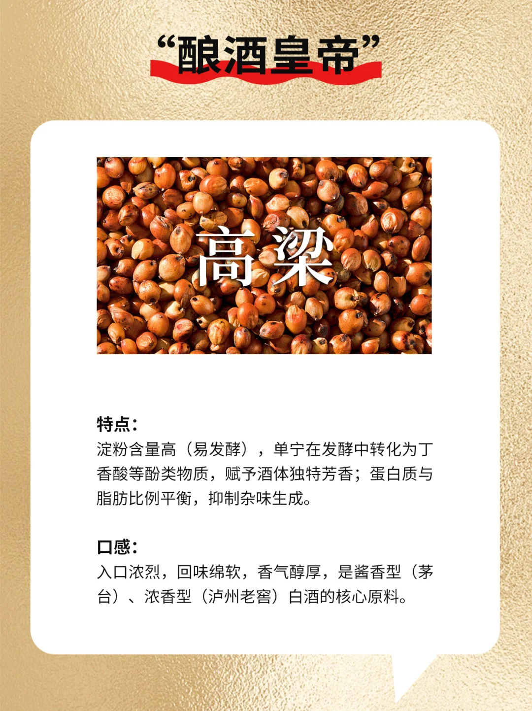 白酒酿酒原粮你居然不知道！