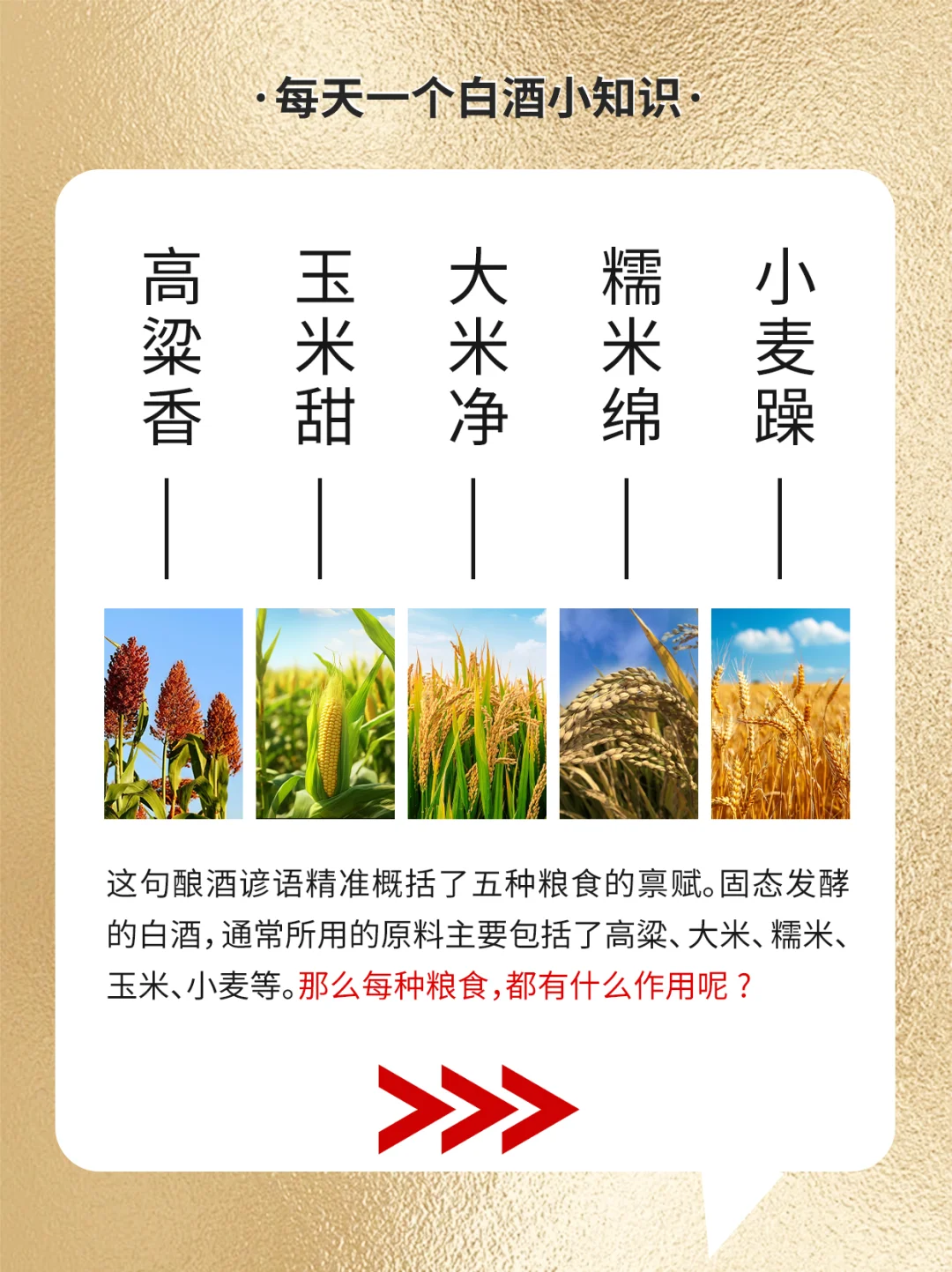 白酒酿酒原粮你居然不知道！