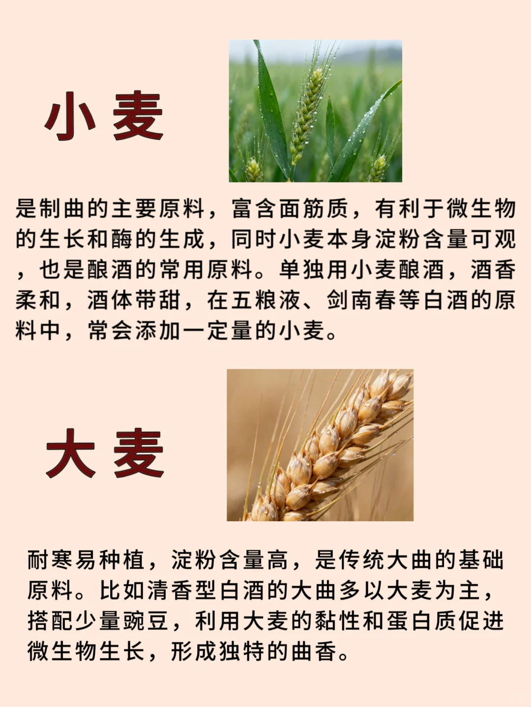 粮为酒之父，常见的白酒酿造原料