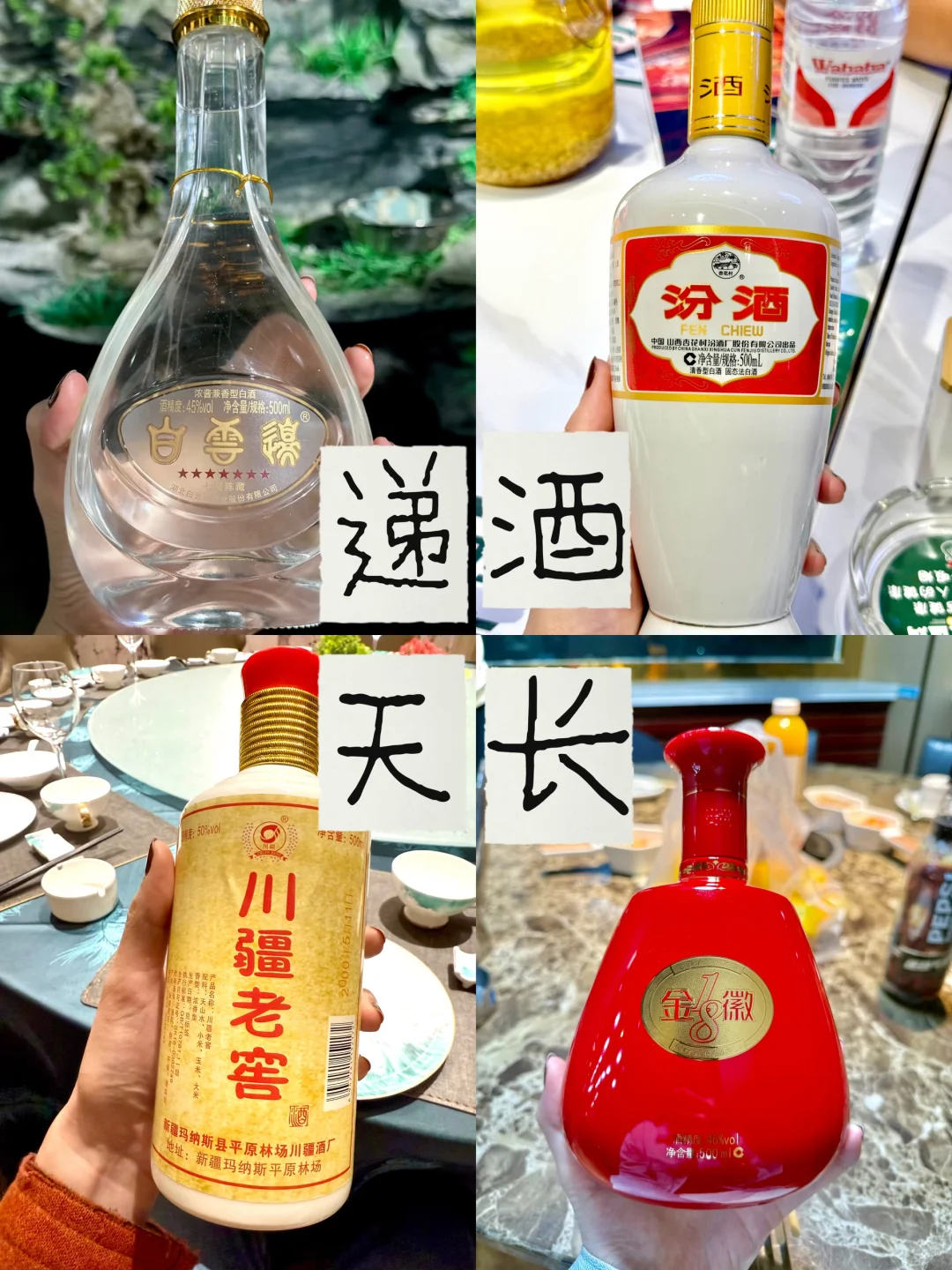 酒蒙子浅评下最近喝过的白酒