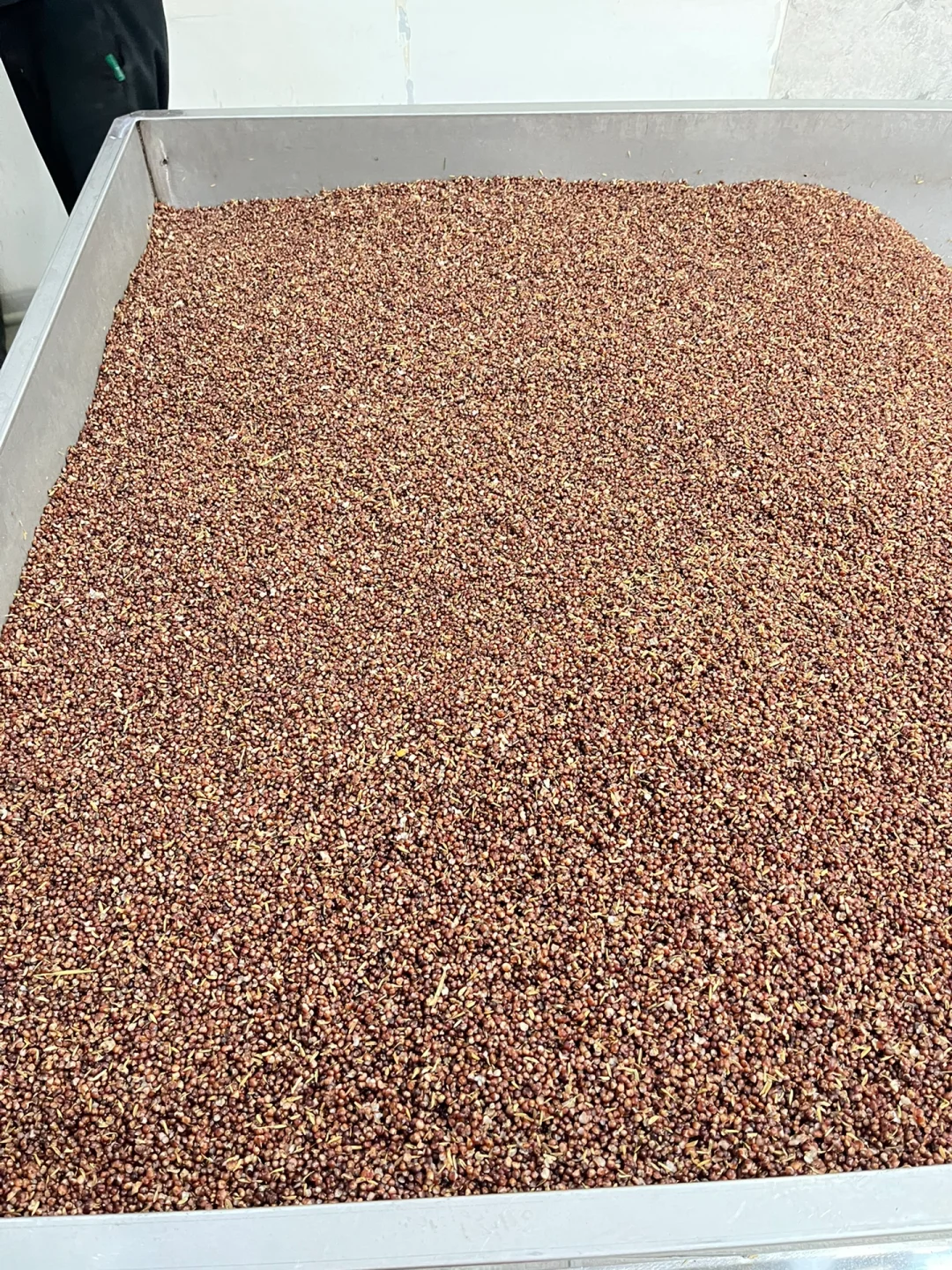 坚持卖高粱酒的第十二天，全国可买