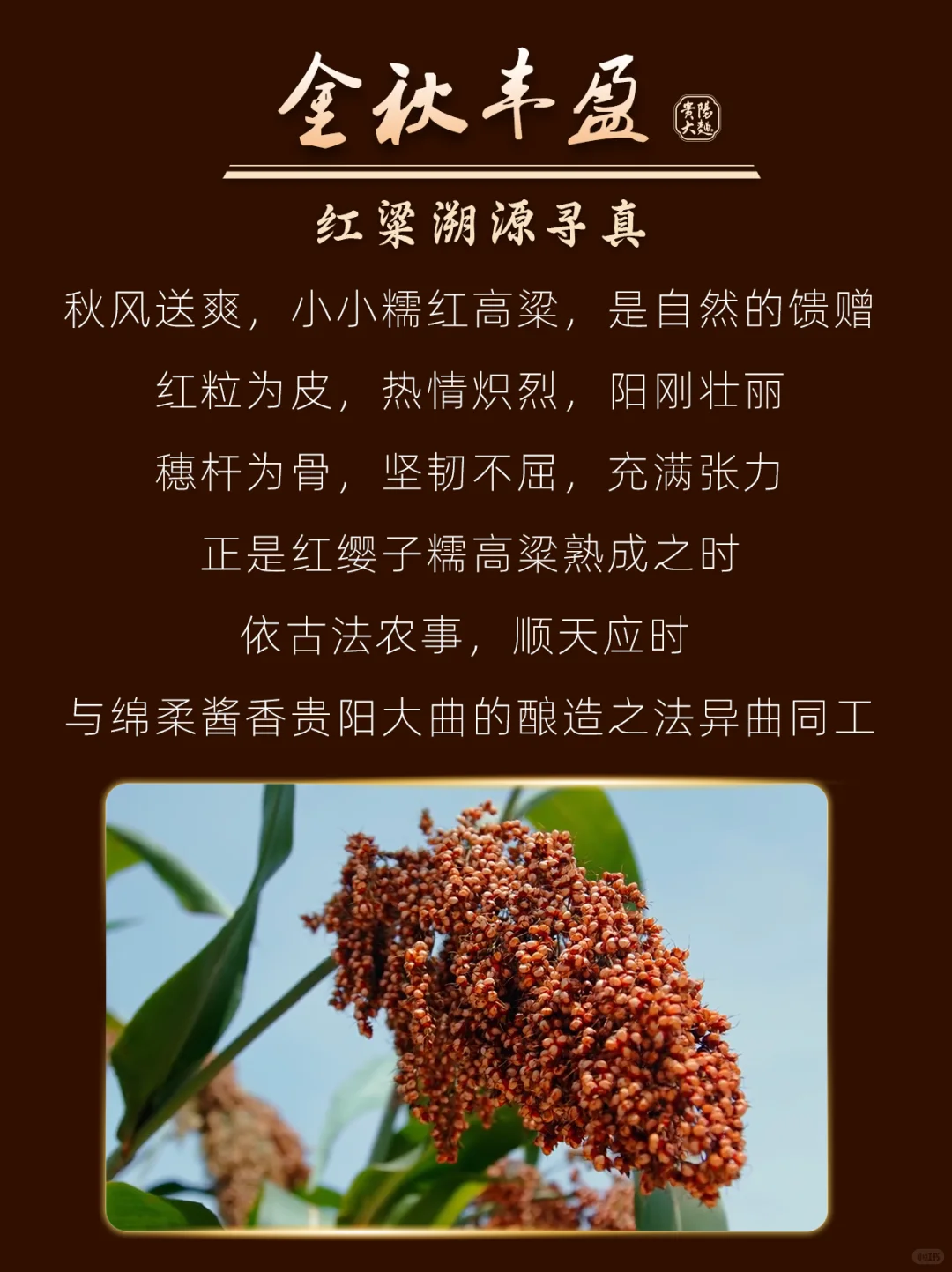 谁还没喝过？糯红高粱耗尽一生酿的绵柔酱香