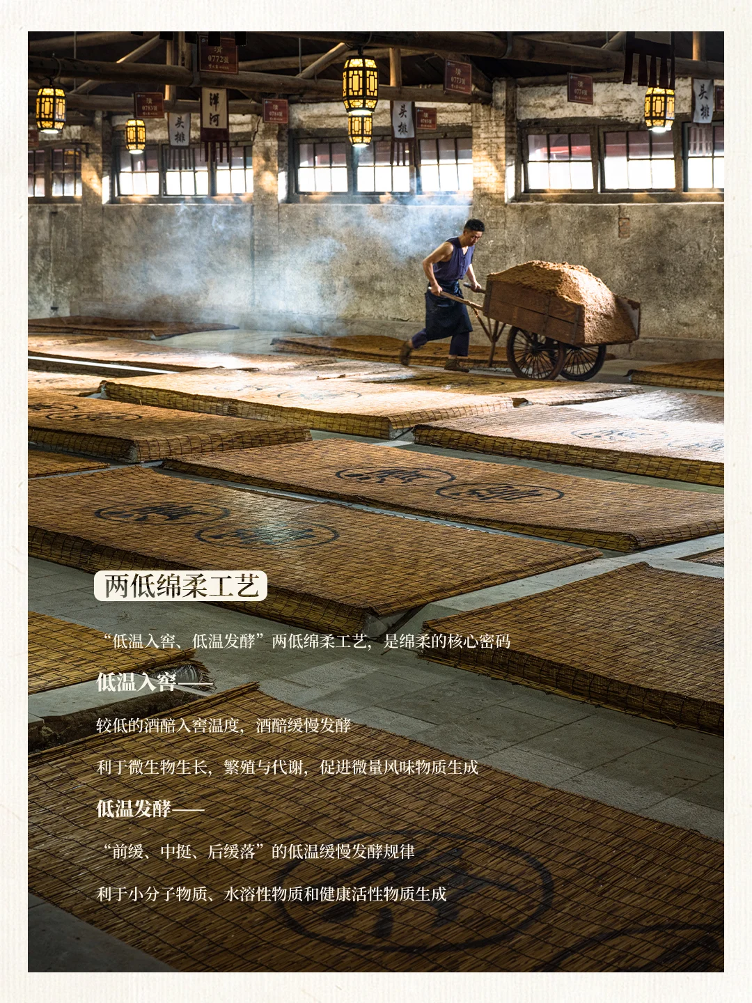 中国酒都，名酒飘香