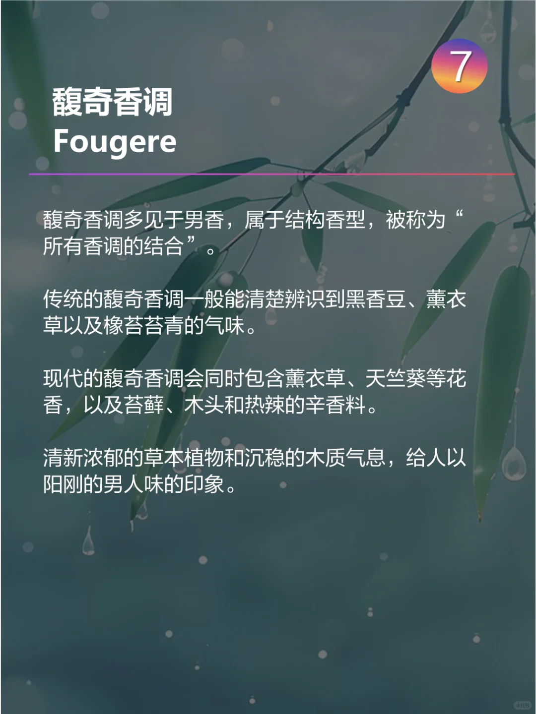 11个香水香型香调你都知道了？香水知识课堂