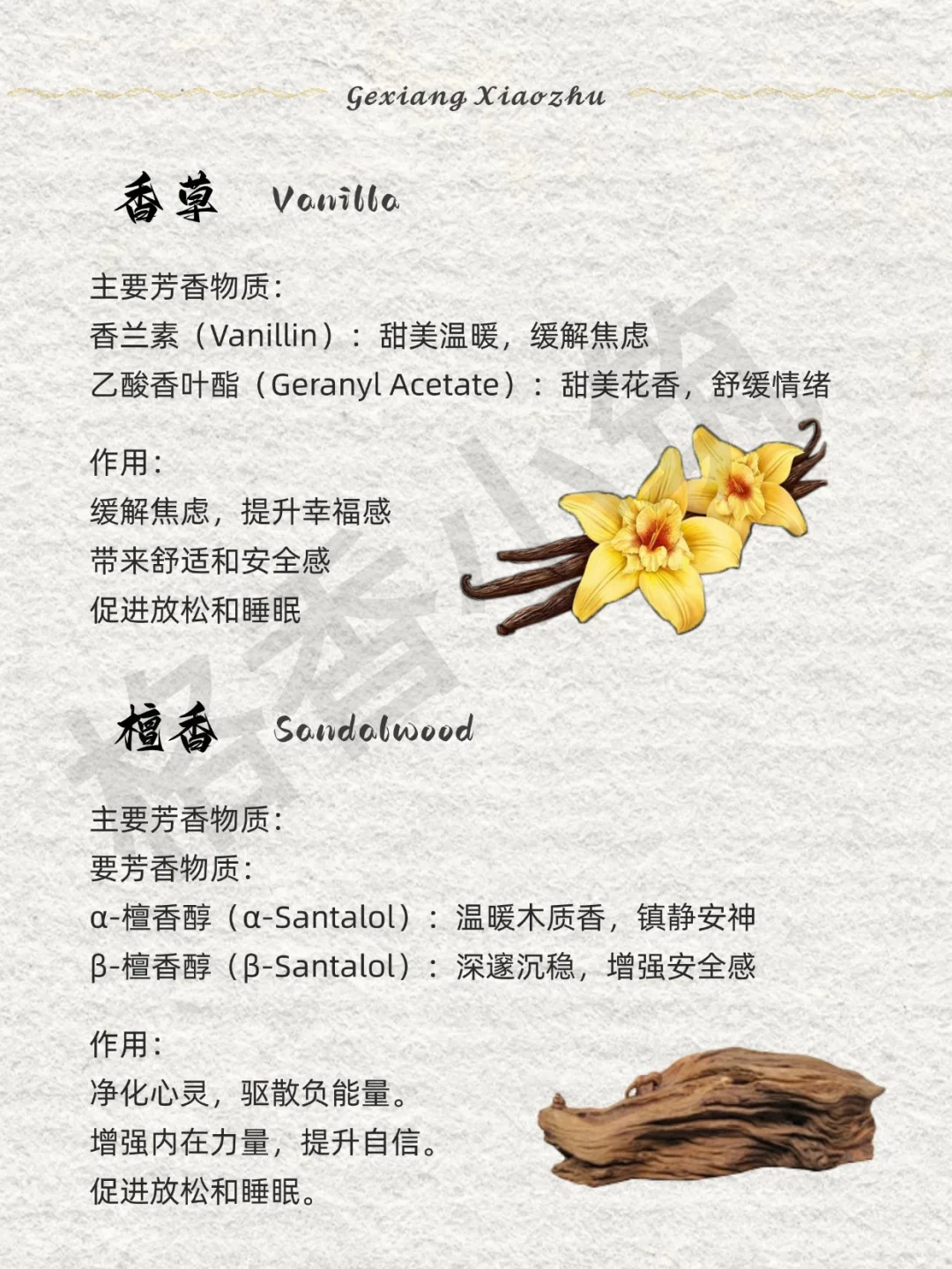 香味科普 | 敏感人群适合的香气