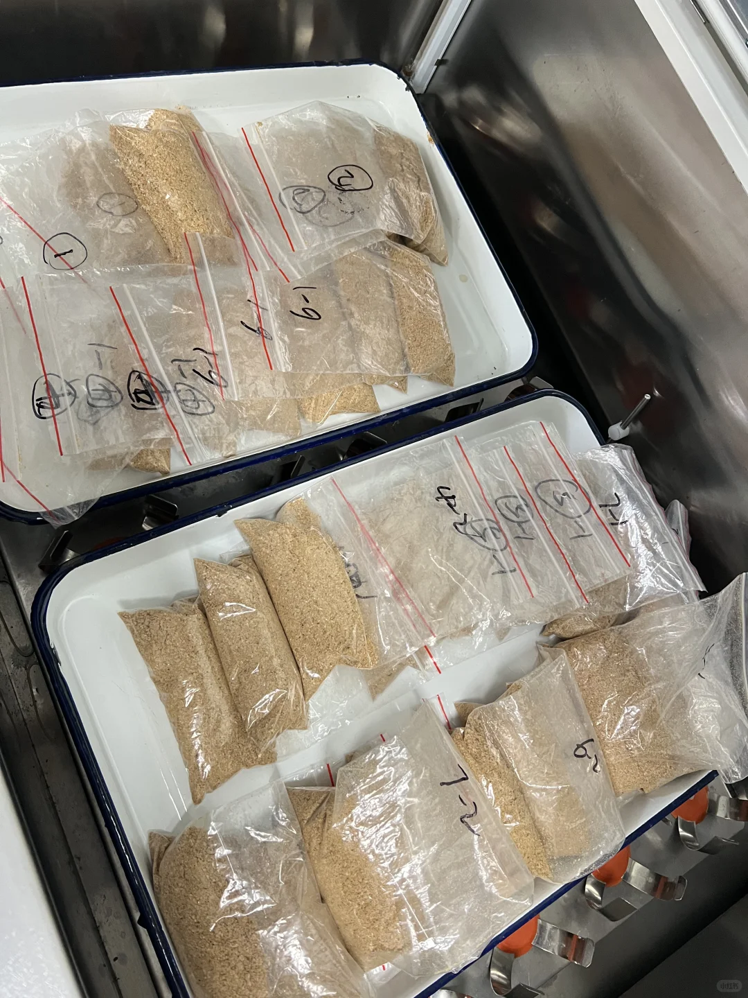 好多人没见过的固态发酵