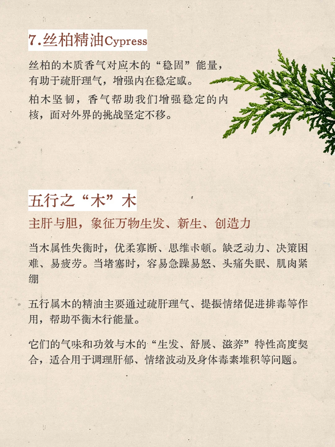 香气疗愈|五?喜木之人适合的香气