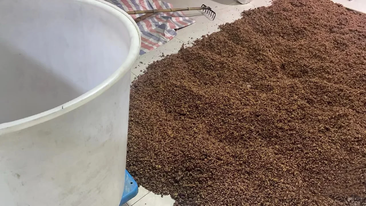 无添加高粱 荞麦酒