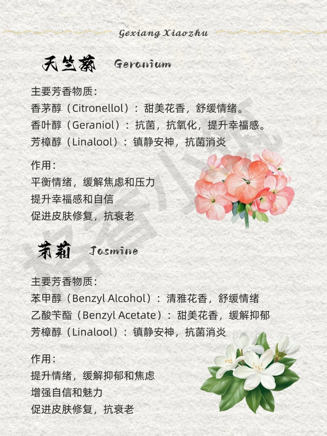 香味科普 | 敏感人群适合的香气