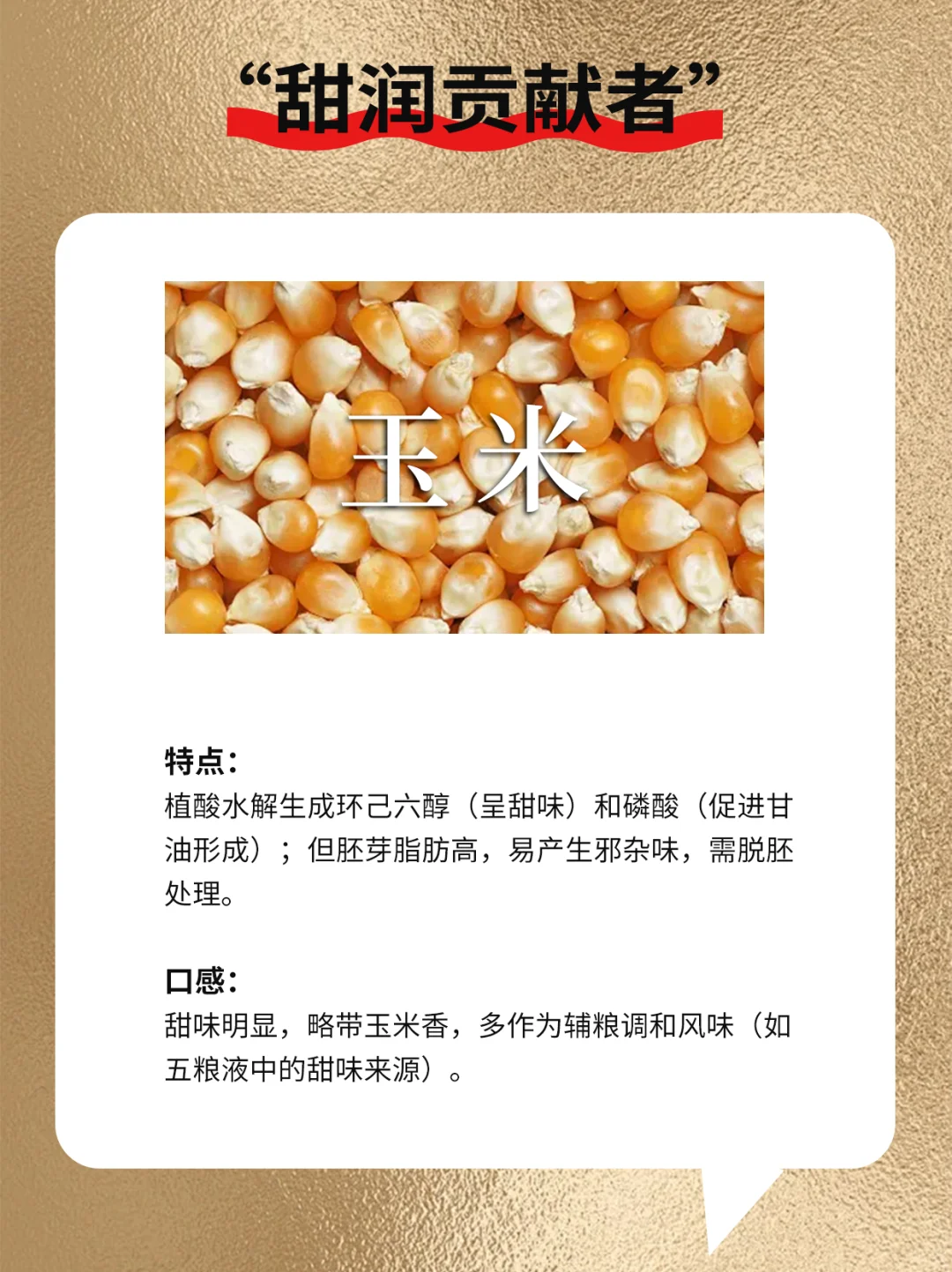 白酒酿酒原粮你居然不知道！