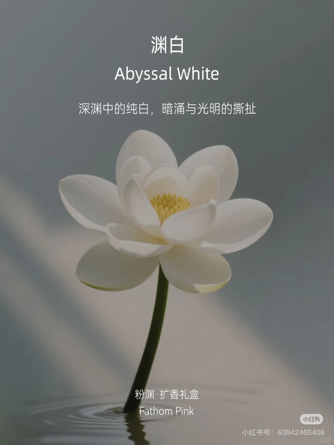 一天拆解一个香型｜水生花香