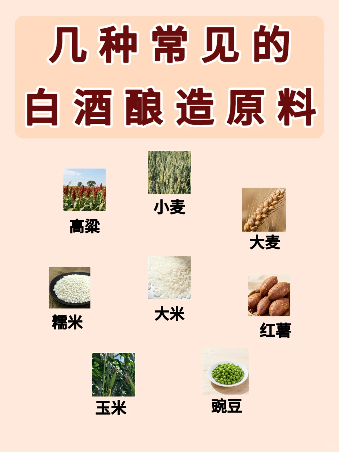 粮为酒之父，常见的白酒酿造原料