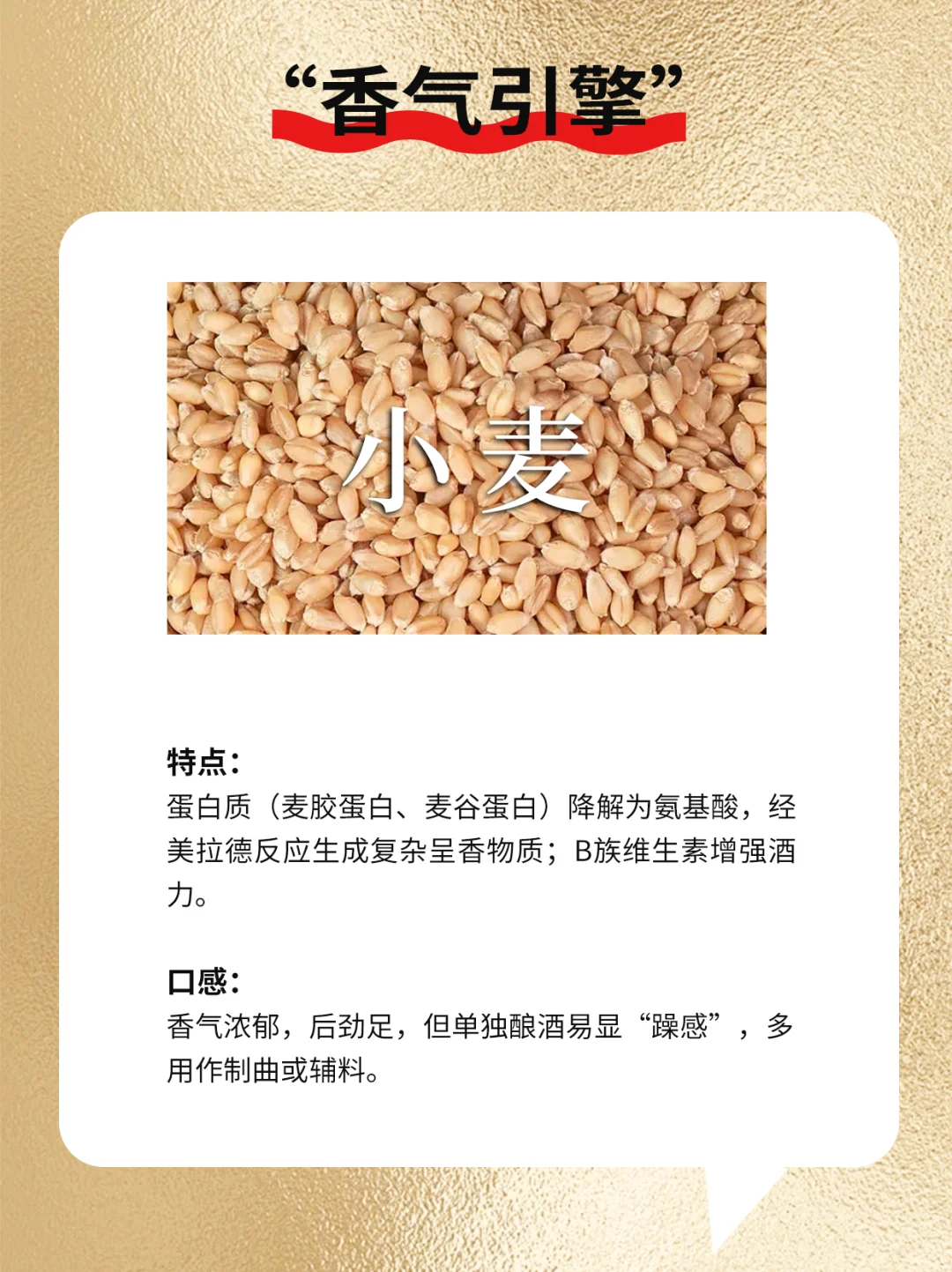 白酒酿酒原粮你居然不知道！