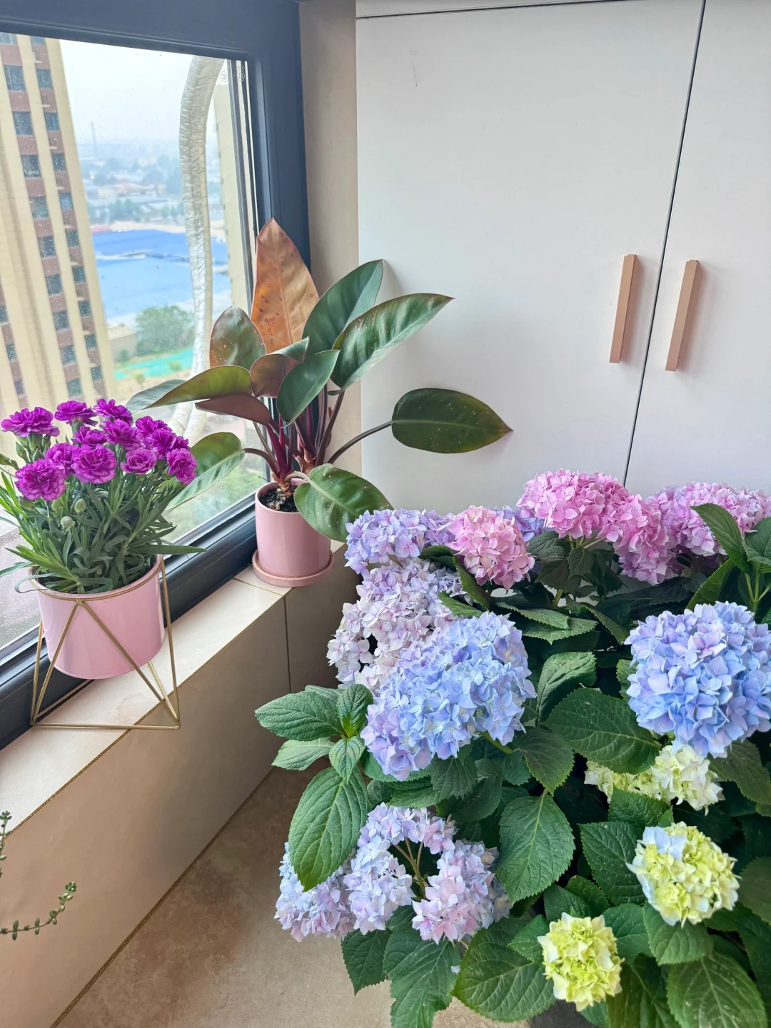 酱香酒，闺蜜家聚餐