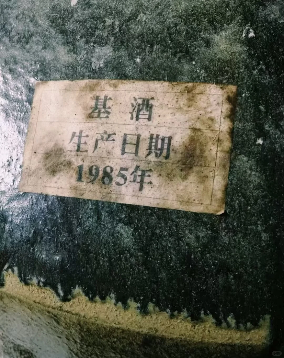 跨越近半个世纪的老酒