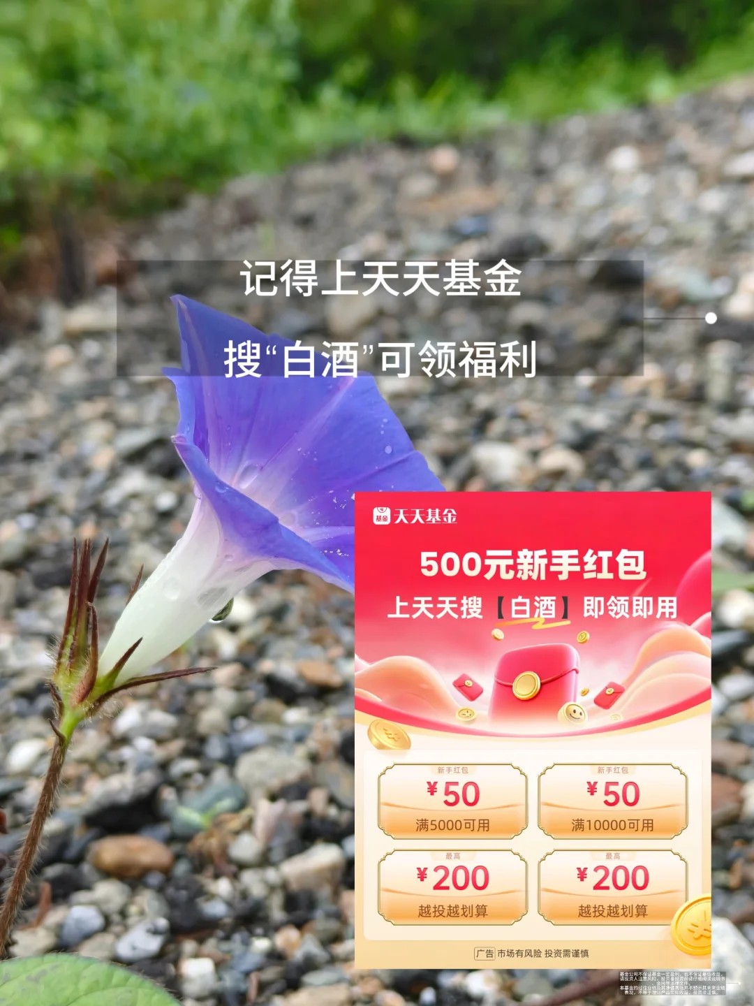 8.26 白酒还能买吗？