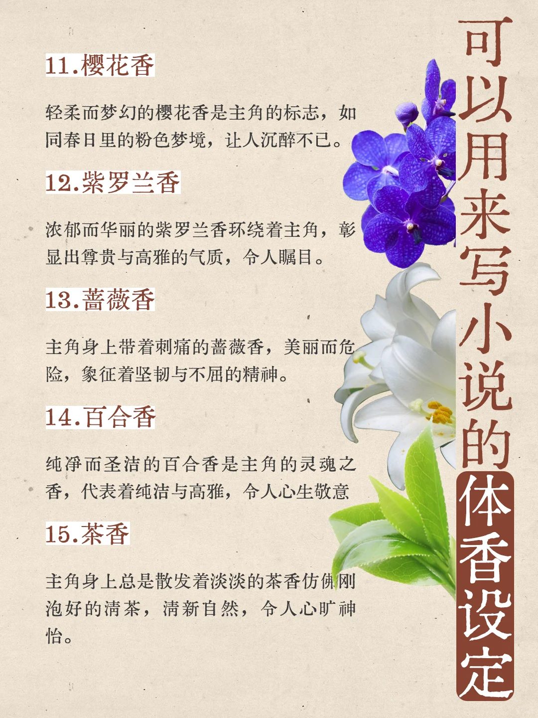 ?写小说|“体香”素材大放送 ??️