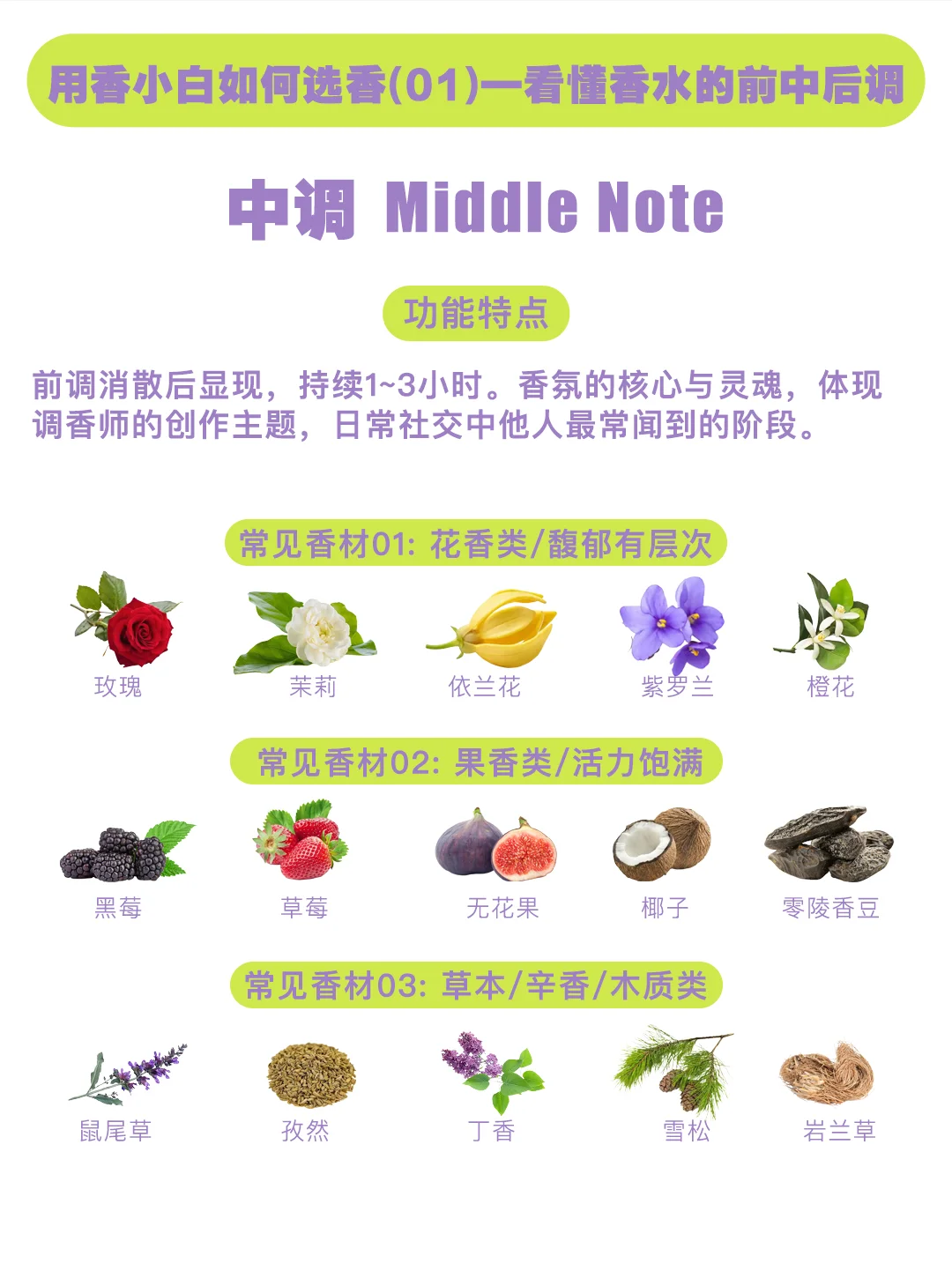 0基础看懂香水金字塔｜选香不踩雷