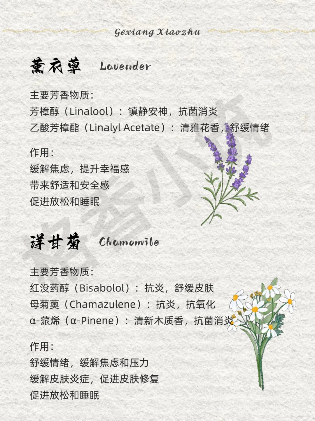 香味科普 | 敏感人群适合的香气