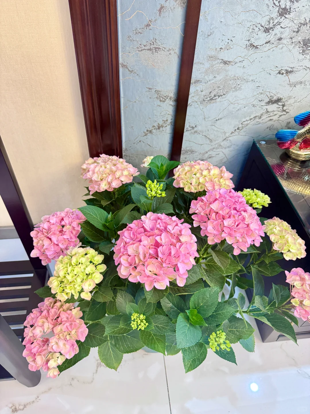 酱香酒，闺蜜家聚餐