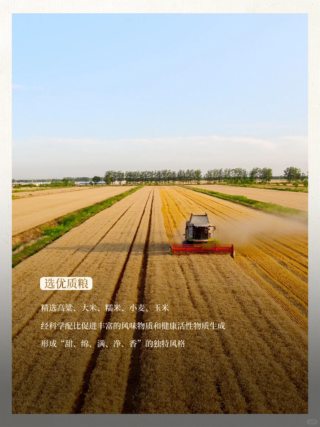 中国酒都，名酒飘香