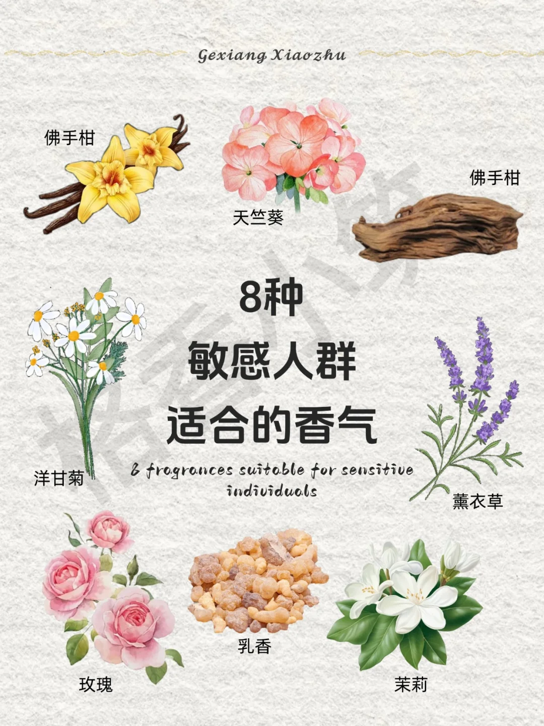 香味科普 | 敏感人群适合的香气