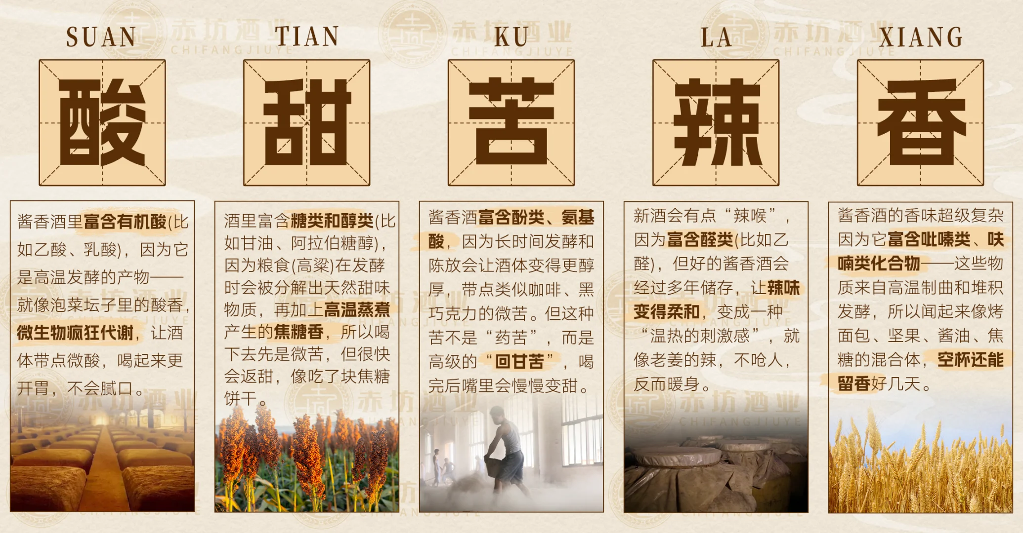 “酸甜苦辣香”酱香酒文化墙