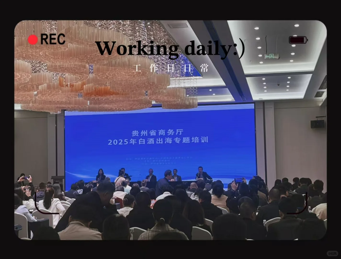 茅台酱香白酒在全球市场的前景如何？