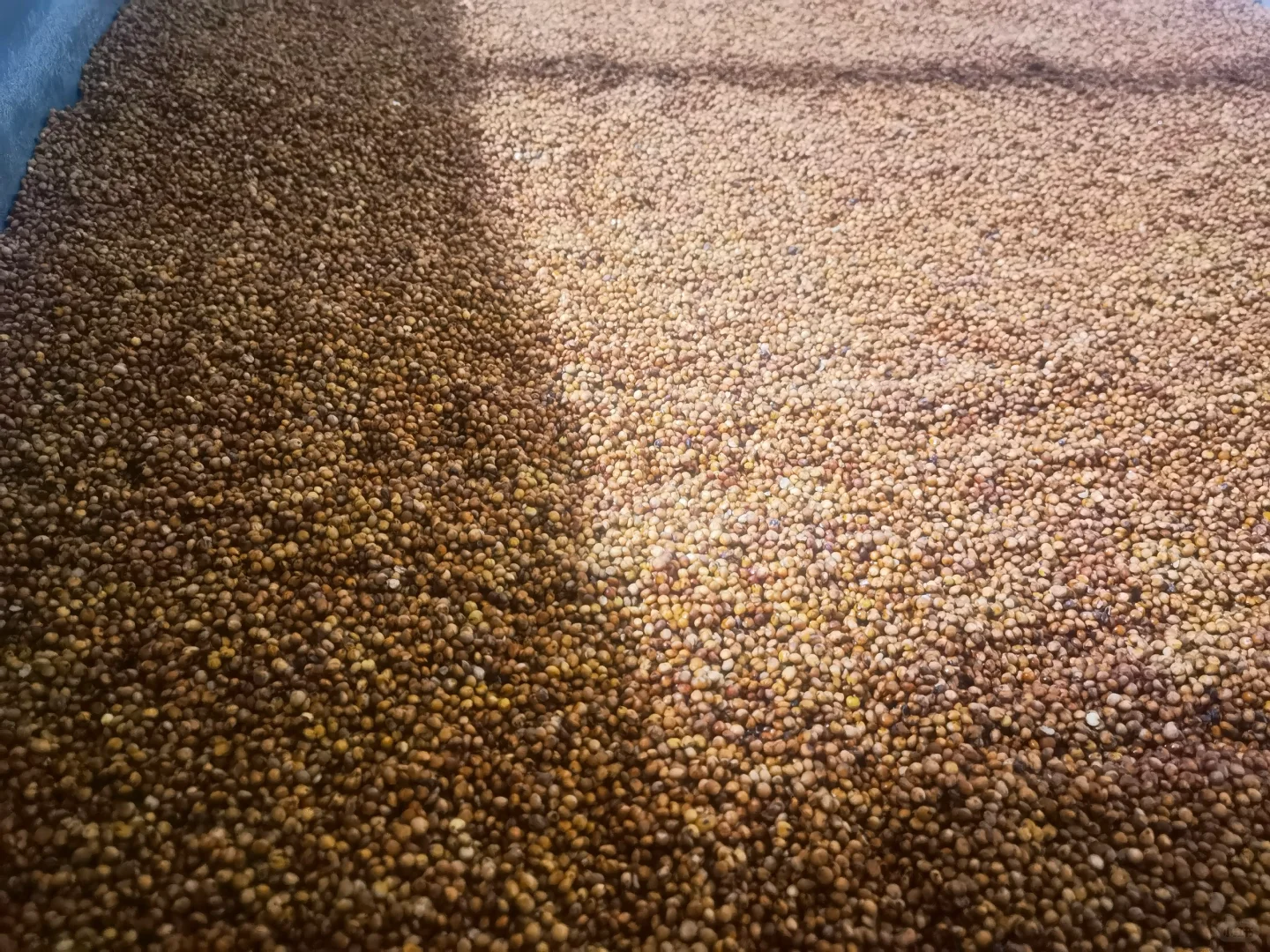 “0添加！100%纯高粱，喝得到的粮食本香！”