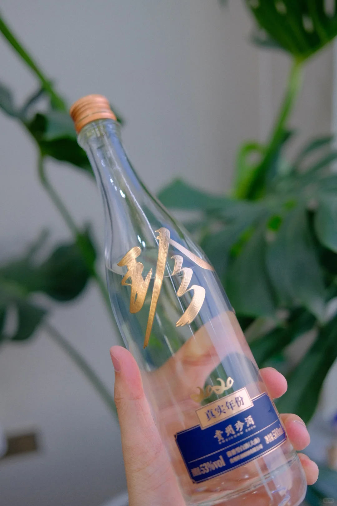 ✨最近喝到的性价比最高的白酒~！