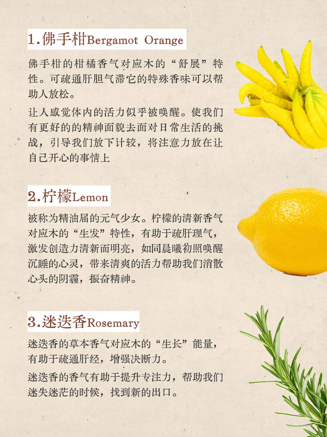 香气疗愈|五?喜木之人适合的香气