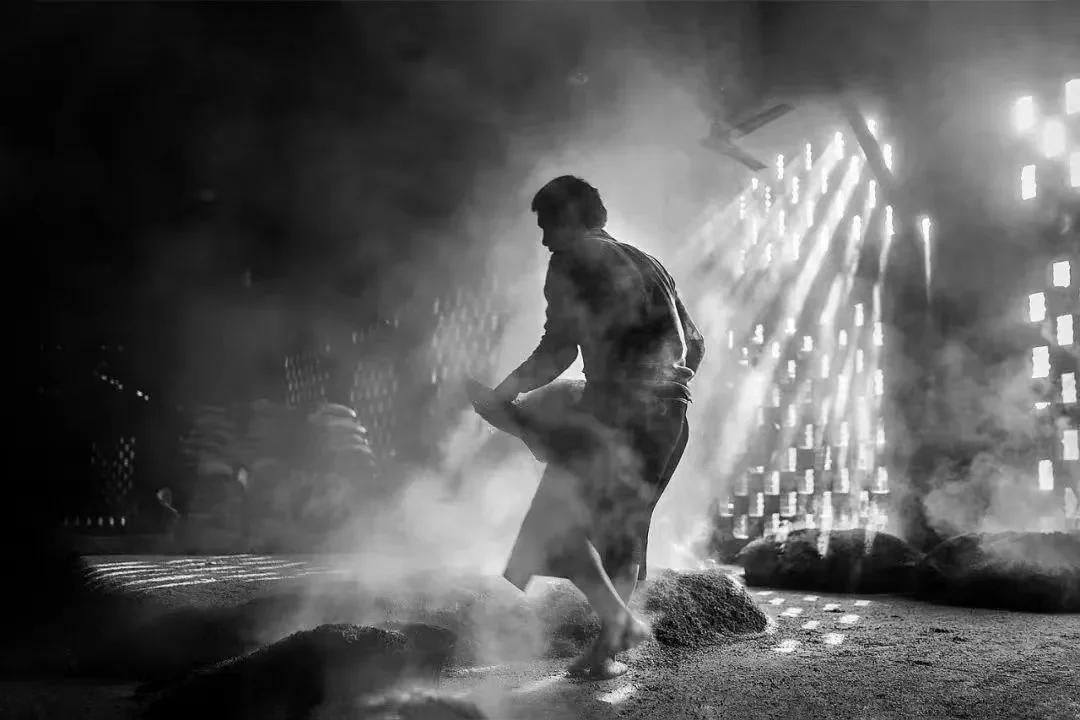 固态发酵因什么成为中国传统技艺?