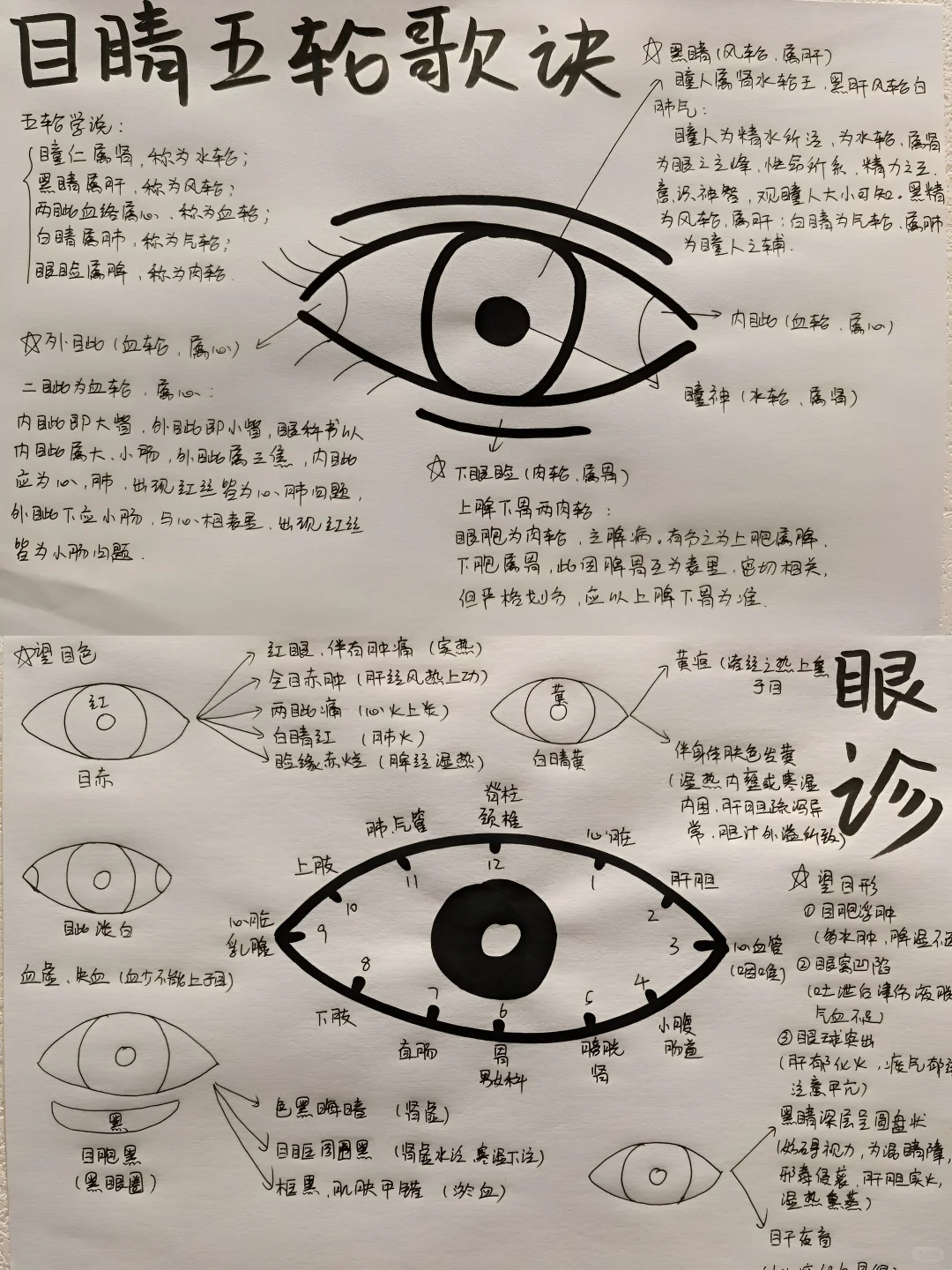 万能眼诊公式，价值8000