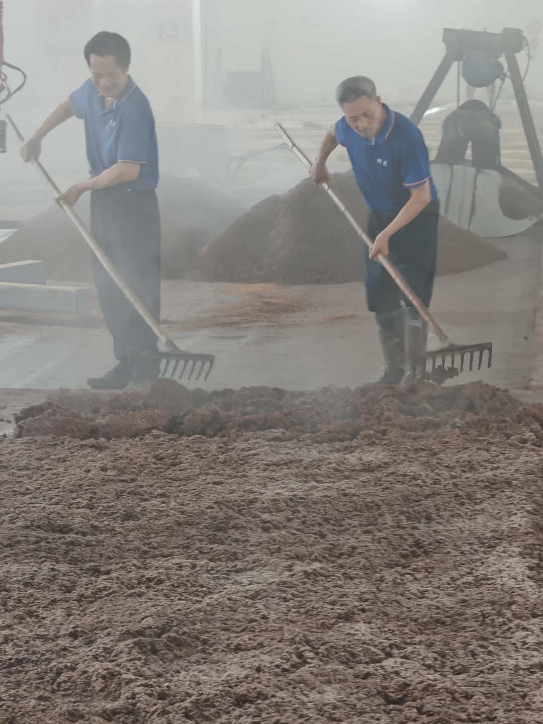 揭秘！?酿好酒的诀窍！