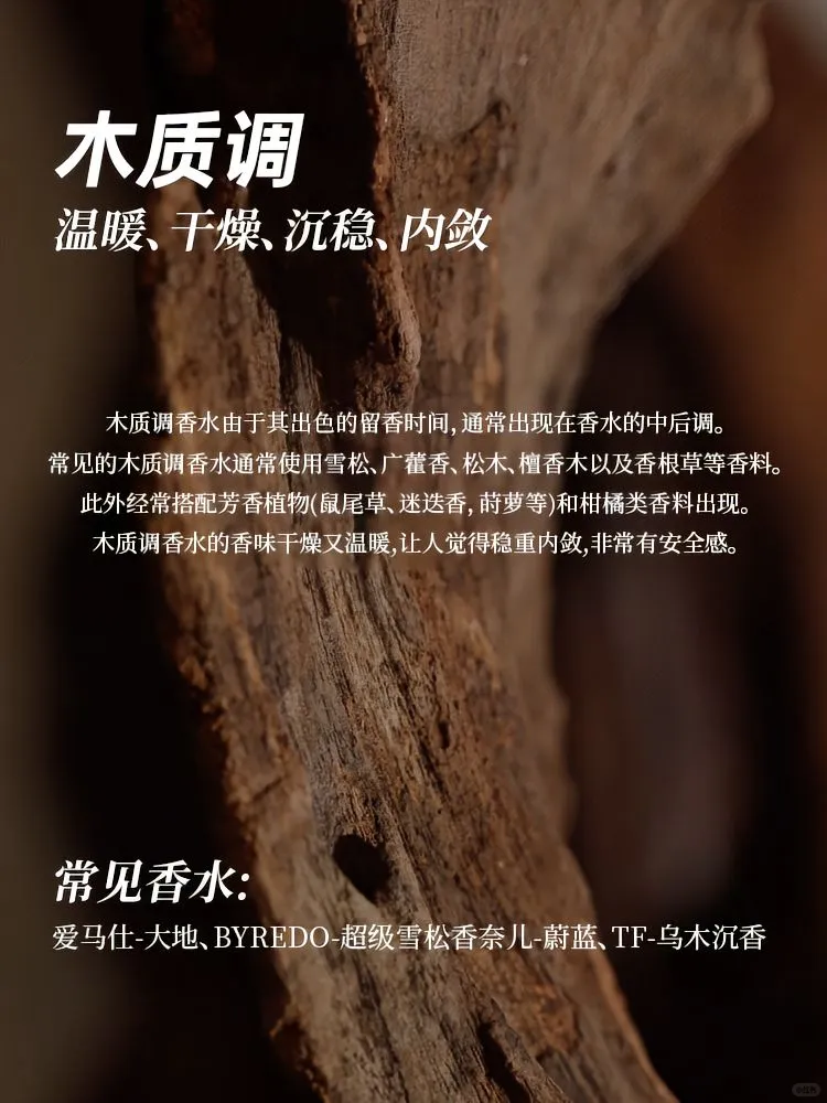 ?香水12香调指南 | 开启芬芳寻香之旅