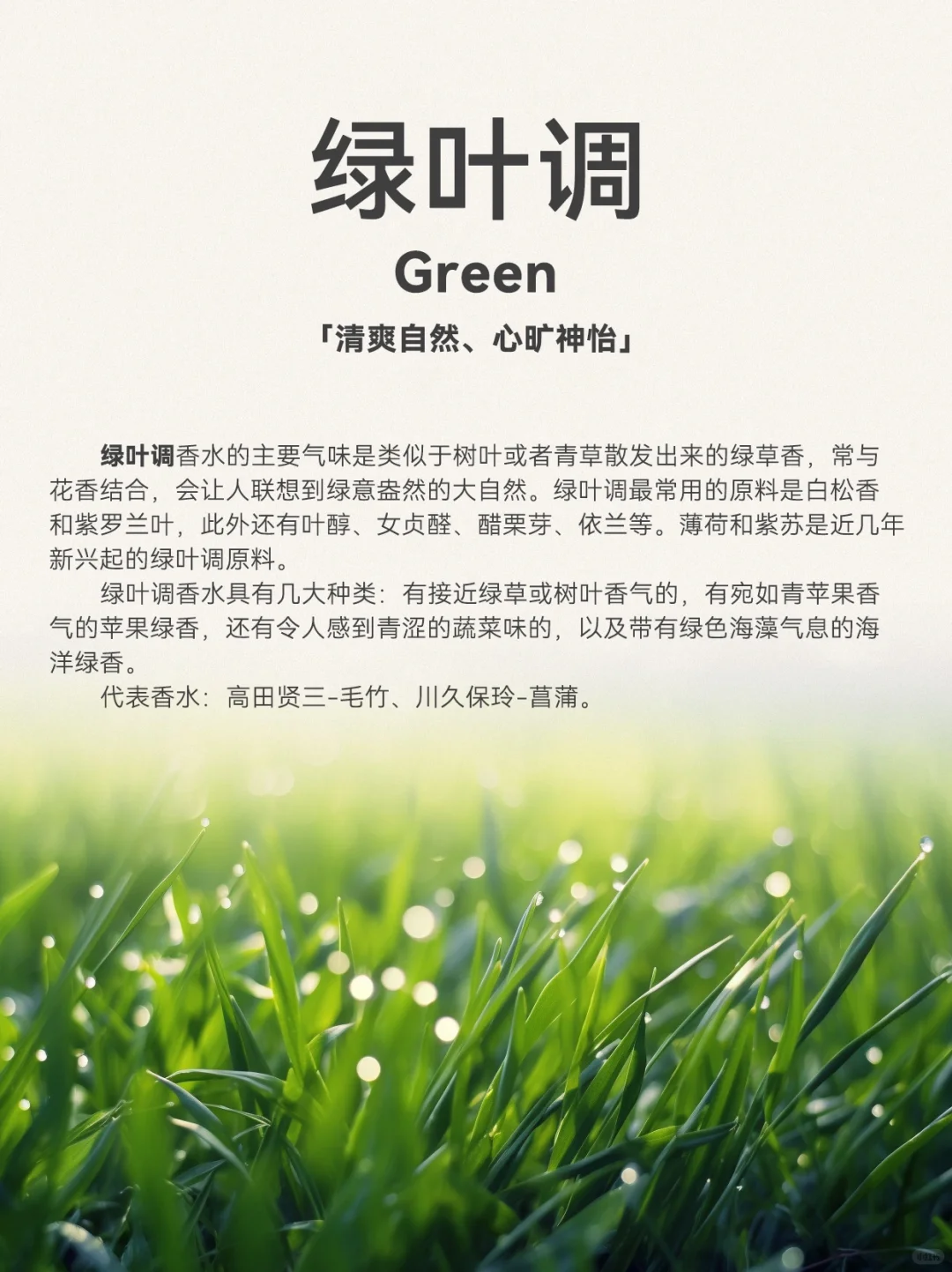 超详细香水12调,发现你的本命香 ❗️❗️