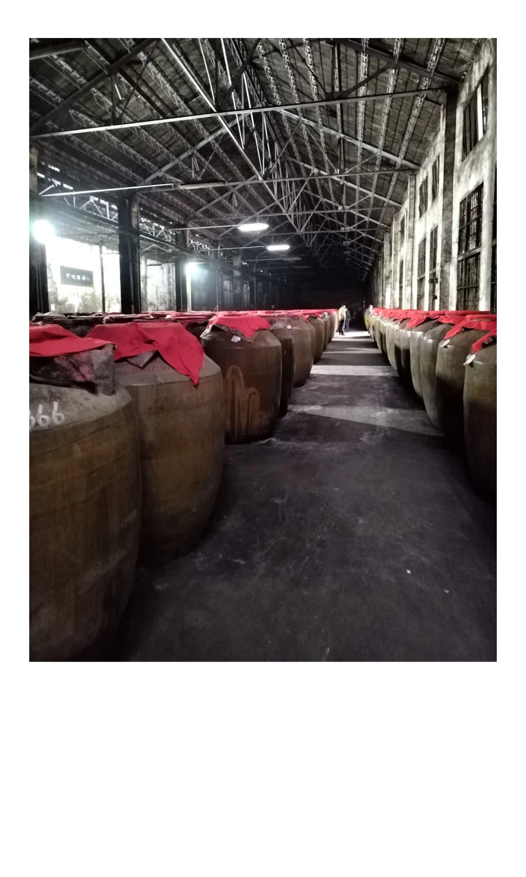 楚客酒庄：园林式封藏酒庄