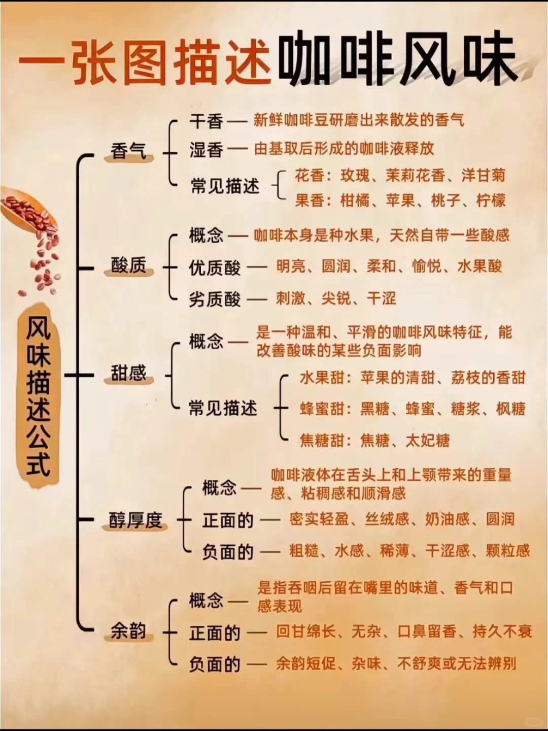 一看就懂的咖啡风味图解！☕️