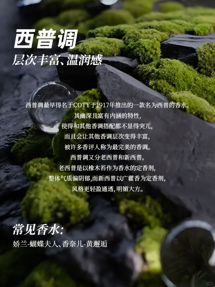 ?香水12香调指南 | 开启芬芳寻香之旅