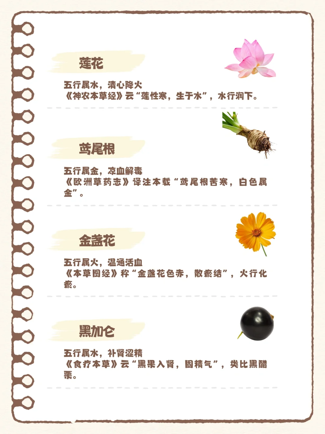 香水暗藏五行能量？100种香料五行解析（下）