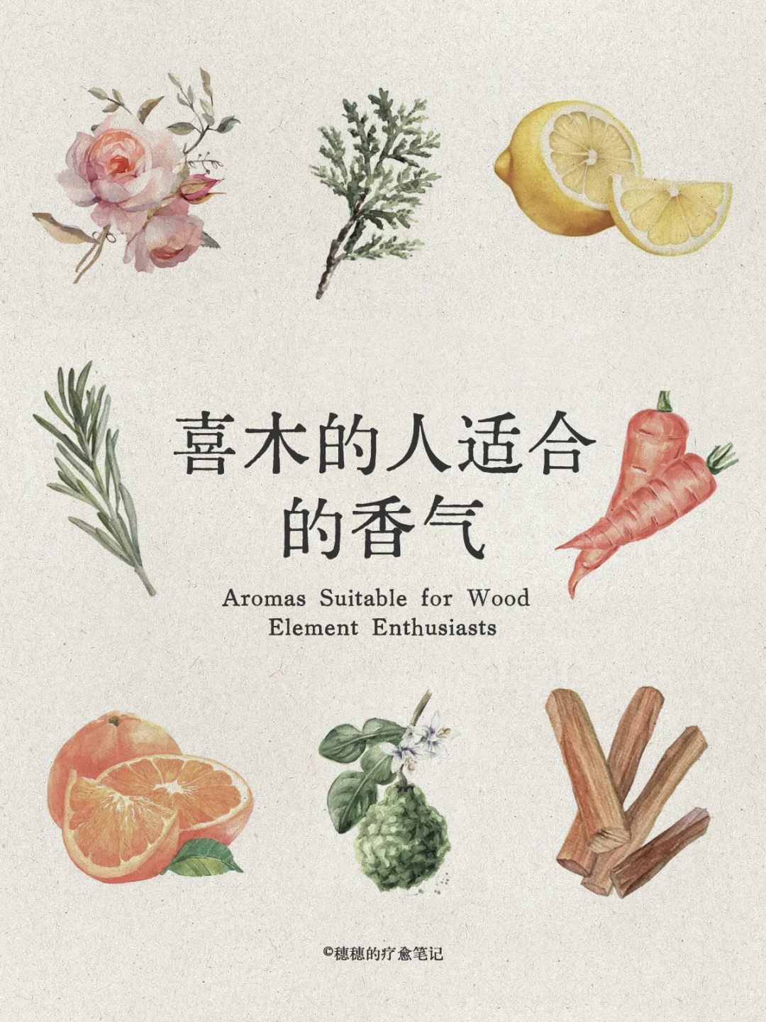 自然疗愈｜五?喜木之人适合的香气