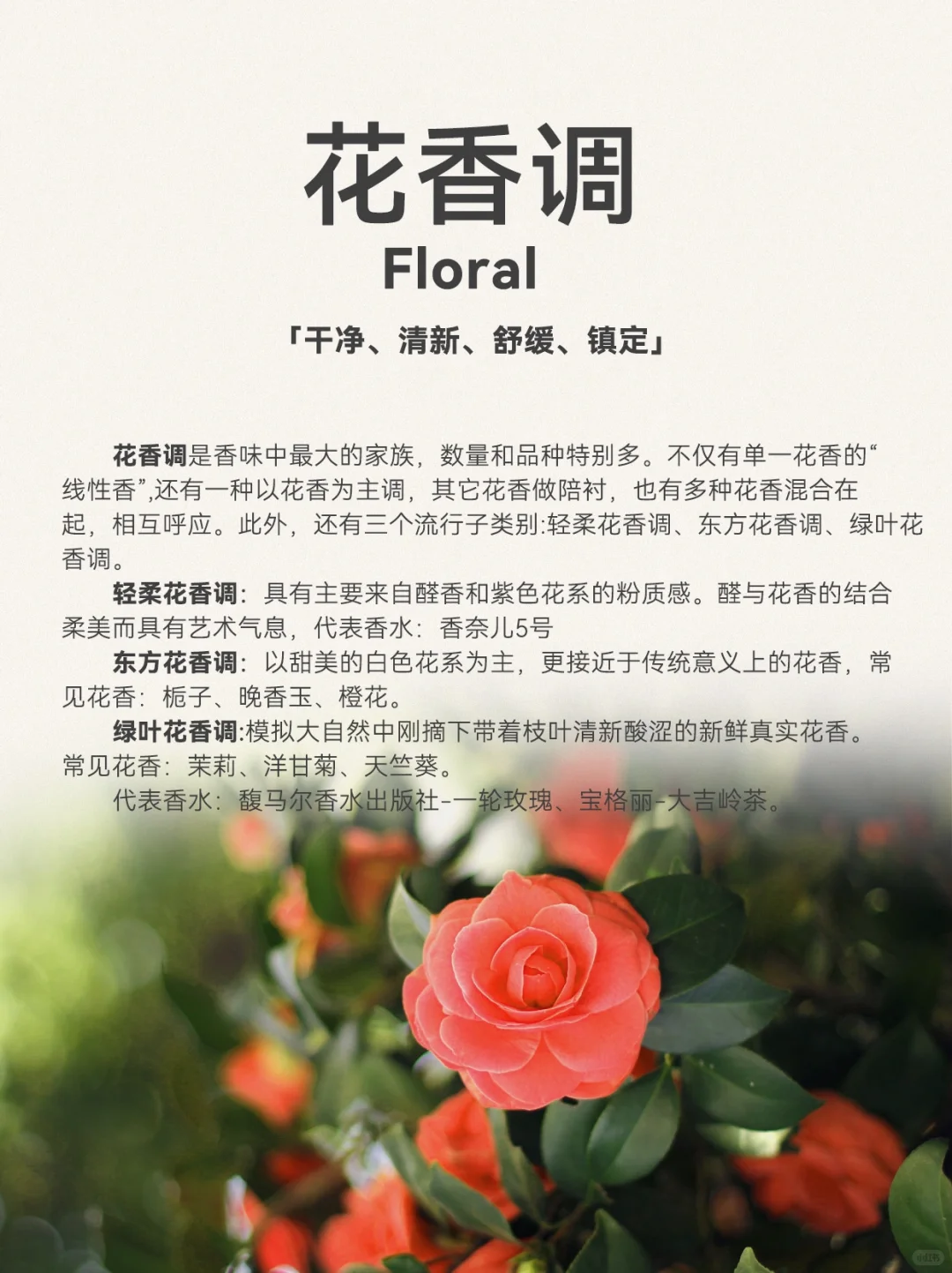 超详细香水12调,发现你的本命香 ❗️❗️