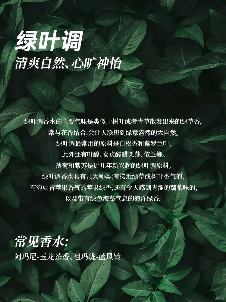 ?香水12香调指南 | 开启芬芳寻香之旅