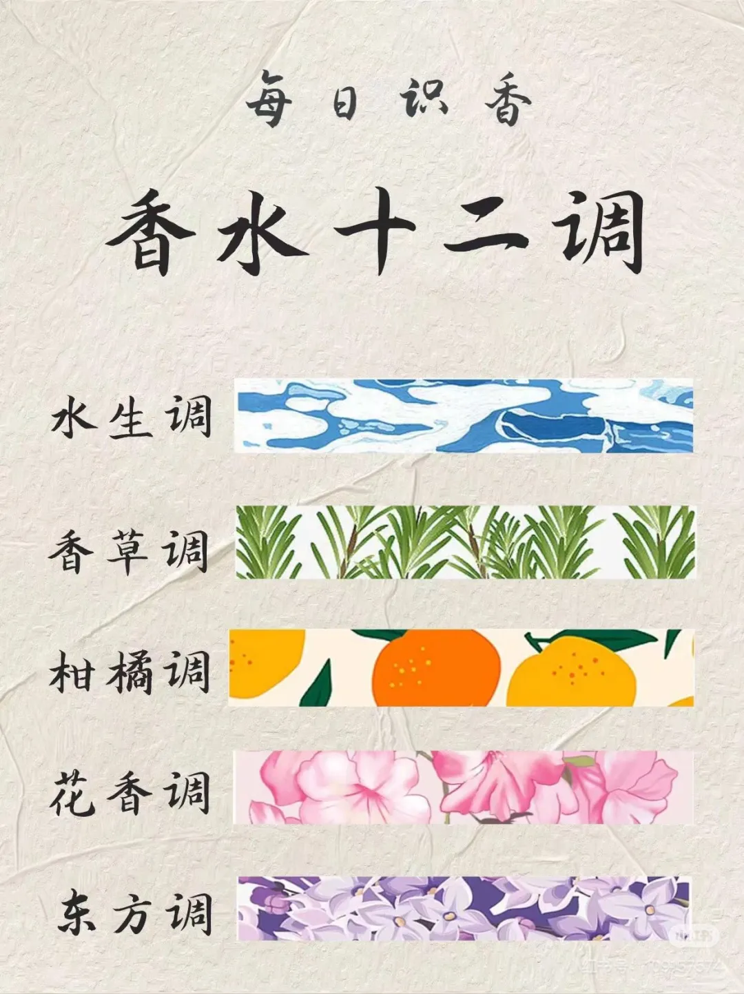 香水香调集合|怎么挑选适合你的香水调来看