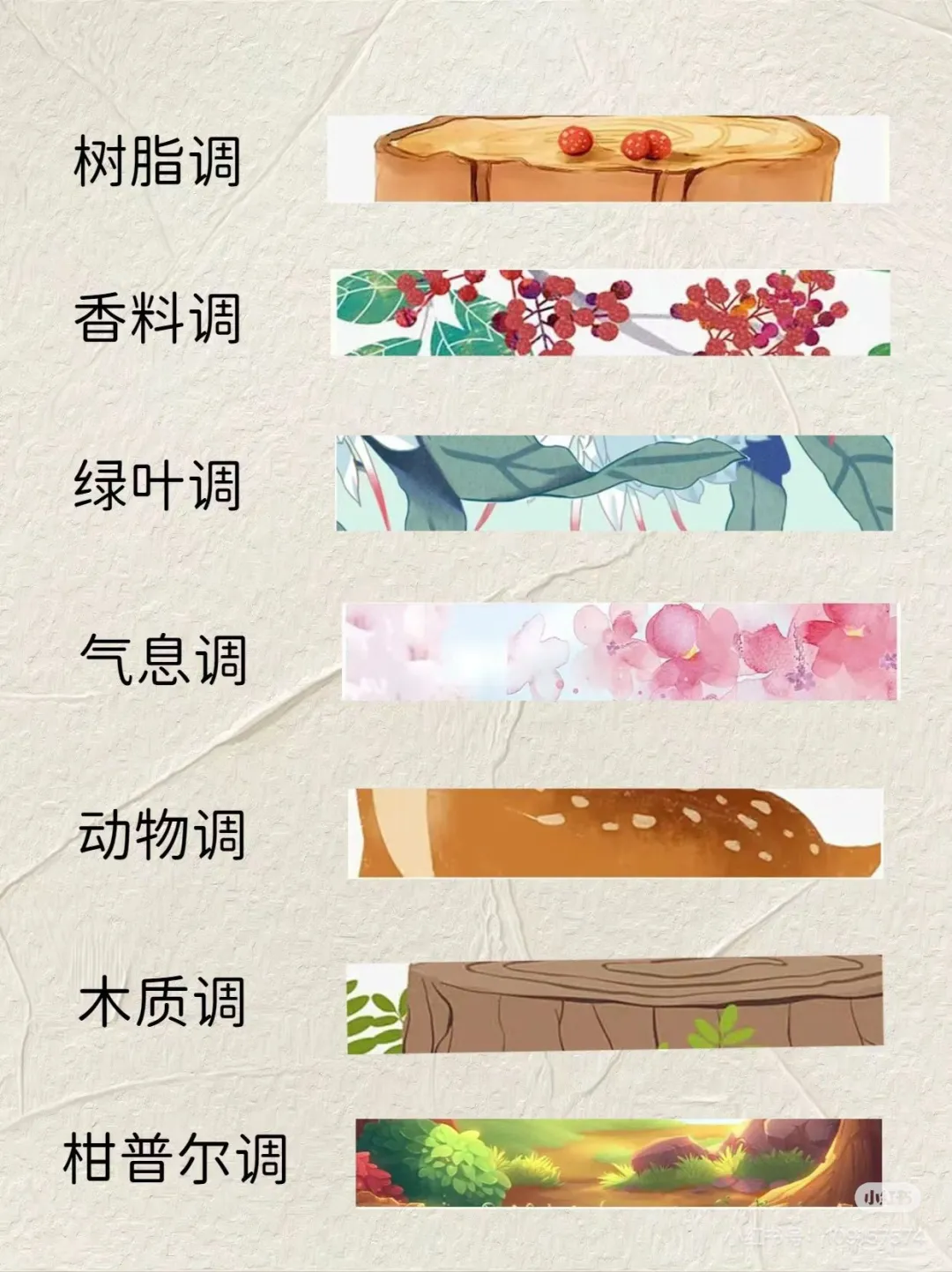 香水香调集合|怎么挑选适合你的香水调来看