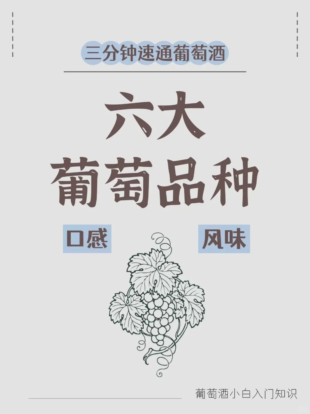 三分钟带你速通‖葡萄酒六大品种