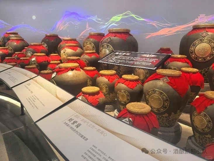 第三站|泸州老窖