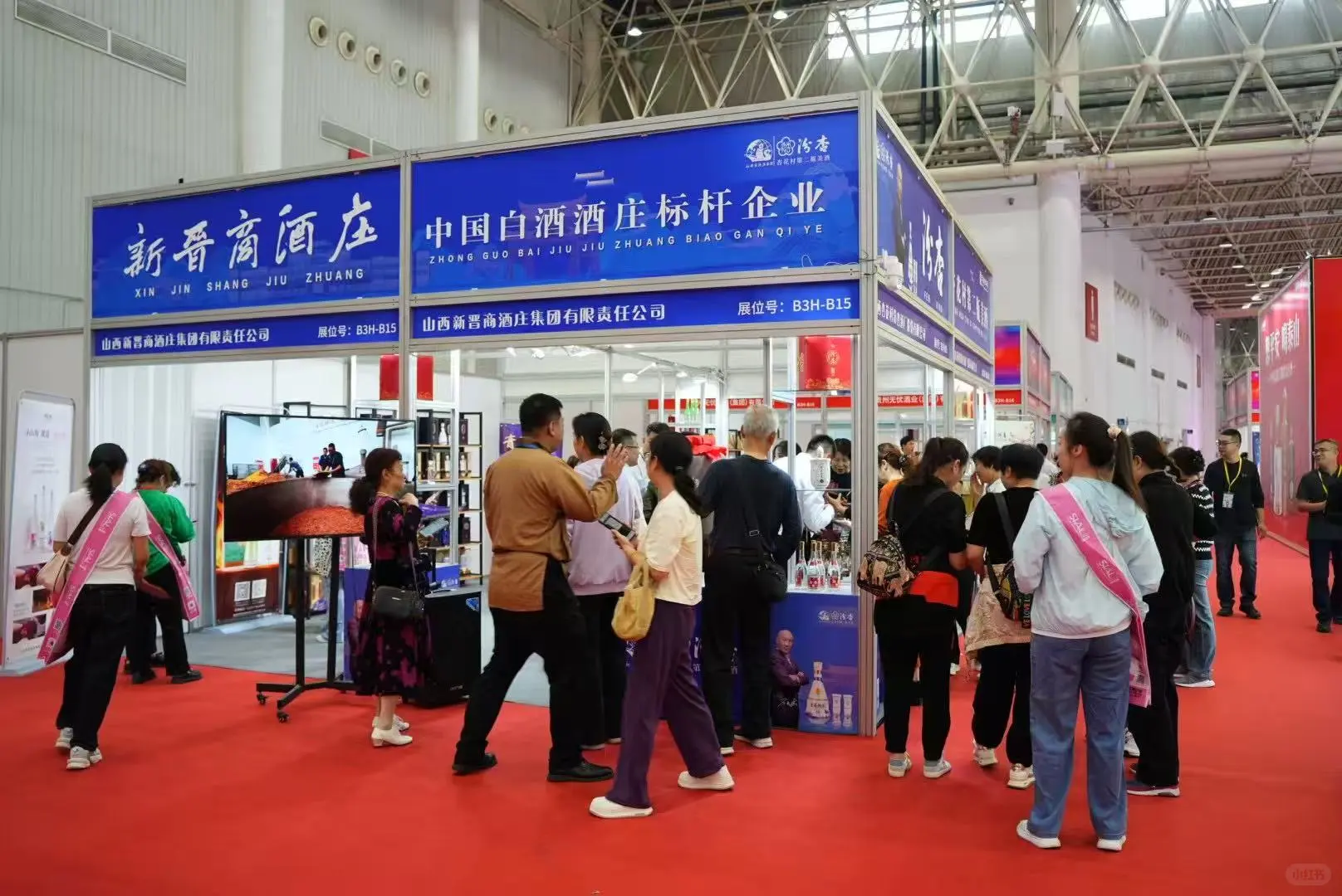 汾杏，酒香四溢，人气爆棚！