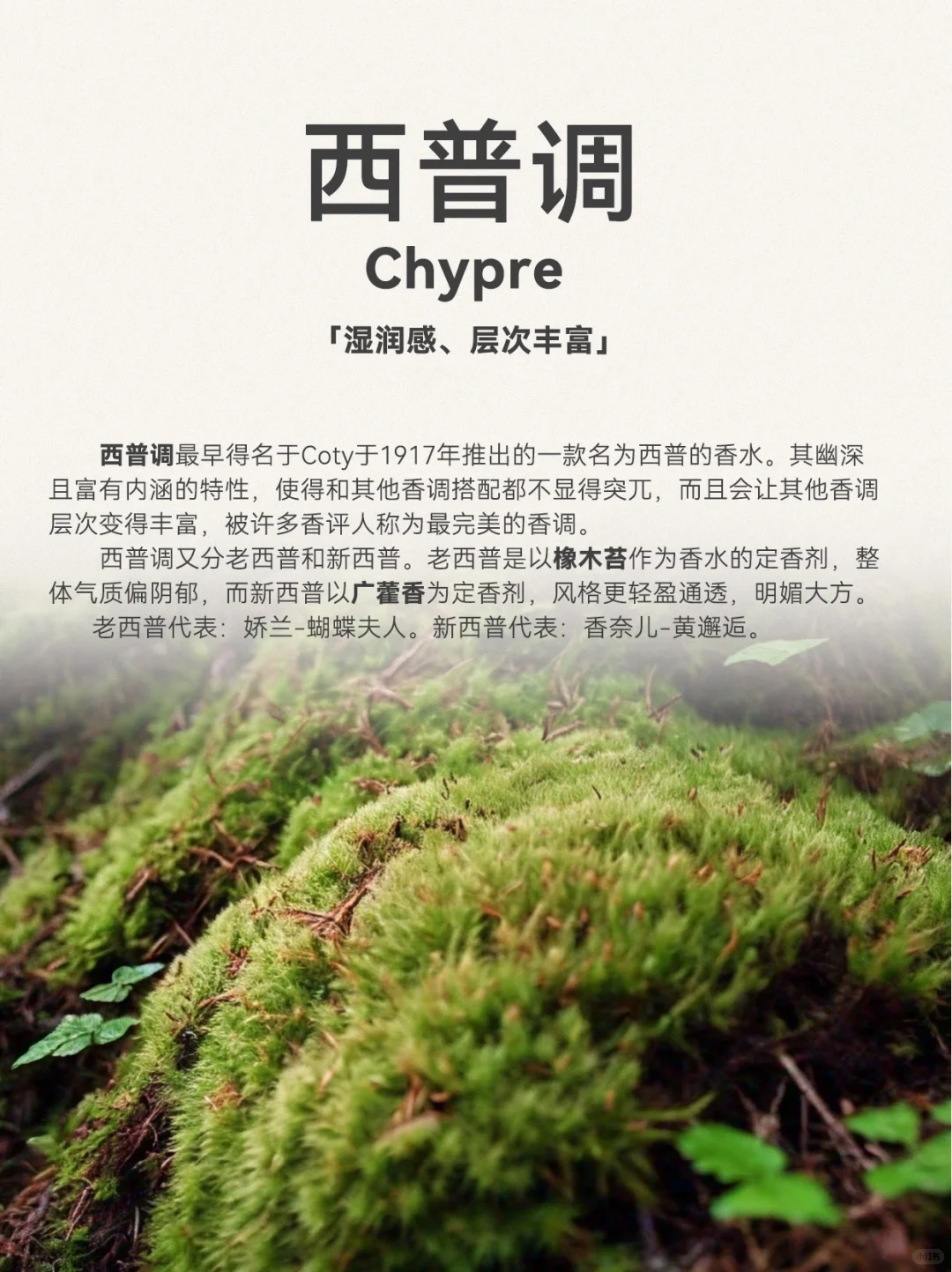 超详细香水12调,发现你的本命香 ❗️❗️