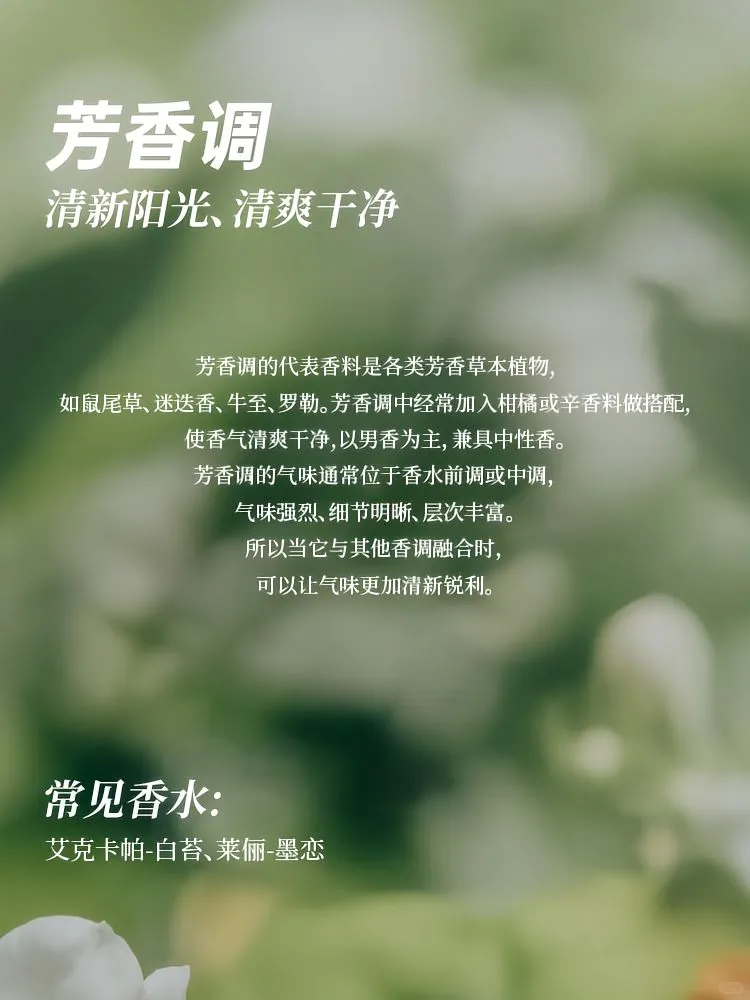 ?香水12香调指南 | 开启芬芳寻香之旅